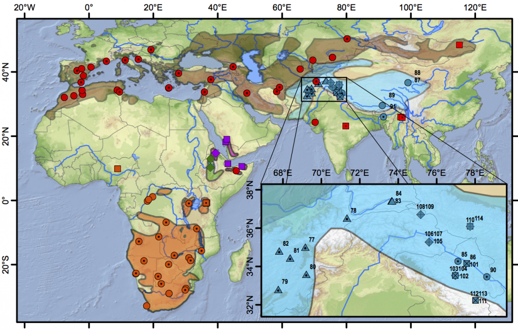 Figure 3 (from Stervander et al. 2016). Distribution map and sampling locations. Samples are denoted with coloured symbols; plain symbols represent full (or long) sequences of cytochrome b, symbols with a central dot represent samples sequenced for 300–400 basepairs (bp), and symbols with crosses represent samples sequenced for c. 100 bp. Distribution of resident Calandrella cinerea (orange; clade E circles, clade D squares), C. erlangeri (green diamonds), and C. blanfordi (purple; clade F diamonds, clade G squares), breeding distribution of C. brachydactyla (brown; clade A red circles, clade C red squares) and C. acutirostris (blue; clade B1 circles, clade B2 triangles, clade B3 diamonds, clade B4 squares). Clade names refer to Fig. 3 in Stevander et al. (2016). In the inset, the region holding four distinct C. acutirostris clades is shown (sample numbers refer to Table S2). Distribution data from BirdLife International and NatureServe (2014) modified for C. erlangeri and C. blanfordi according to Ryan (2004) and for eastern C. brachydactyla based on Gombobaatar and Monks (2011) and unpublished personal studies (which primarily exclude the Tibetan plateau from the previously assumed breeding range).