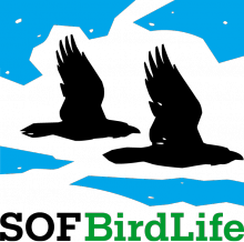 BirdLife Sweden