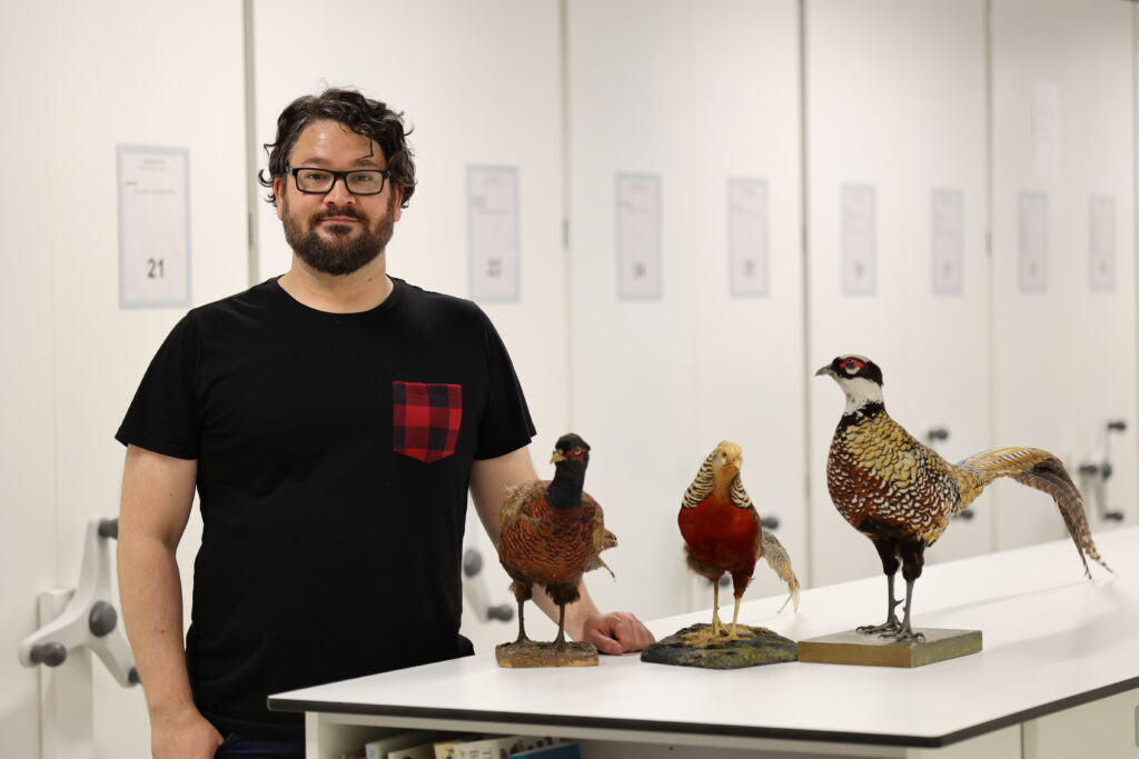Martin in the bird collections with three fancy pheasants.